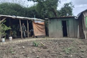 IAT elimina alojamentos de caçadores em reserva ambiental nos Campos Gerais