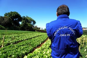 “Cadê o responsável técnico?” Crea-PR inicia fiscalização da Safra Verão 2023/2024