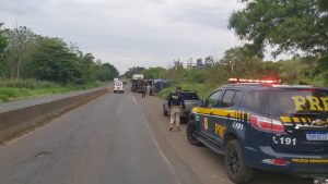 Carreta carregada com porcos tomba na BR-153, em Jacarezinho