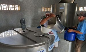 Simpósio vai abordar produção e comercialização de leite de diferentes espécies