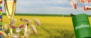 Bancada do agro alinha pauta do novo marco de biocombustíveis