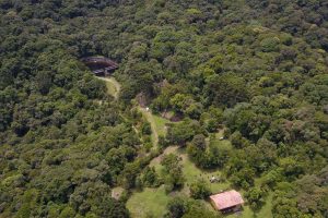 Com redução em mais de 60%, Paraná é destaque no combate ao desmatamento ilegal da Mata Atlântica
