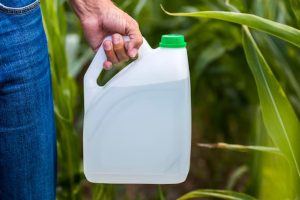 Mato Grosso do Sul lidera logística para reciclar embalagens de defensivos agrícolas