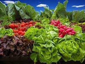 Clima influencia alta no preço de frutas e hortaliças
