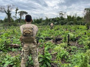 Polícia Federal realiza mega operação contra o desmatamento causado pelo tráfico de drogas