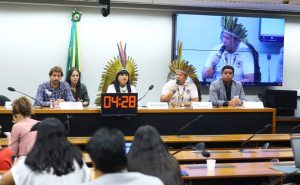 Indígenas querem aprovação da Política Nacional de Gestão Territorial com direito a orçamento