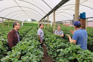 Projeto de pesquisa vai testar tecnologia para reduzir perda de água na irrigação