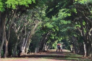 Iniciativa de turismo rural será premiada com troféu Orgulho da Terra 2023 no Paraná