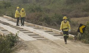 Incêndio no Pantanal: Bombeiros afirmam que fogo foi controlado