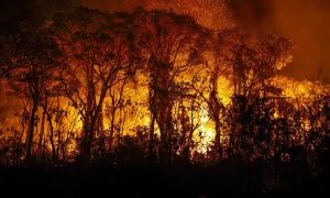 Recorde histórico: Pantanal já registrou mais 3 mil incêndios em novembro