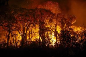 Brigadistas intensificam trabalho de combate a incêndios no Pantanal