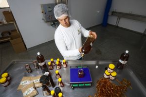Sabor único e alta produtividade diferenciam o mel do Oeste do PR
