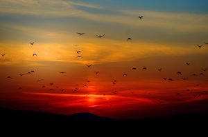 Alívio: semana de sol em boa parte do Brasil