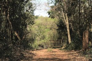 IAT fecha 11 parques estaduais em função das chuvas ou reformas