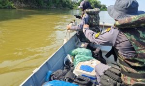 Em um mês, Sema-MT apreende 302 kg de pescado ilegal e devolve mais de 600 peixes aos rios
