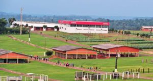 Inscrições à corrida Show Rural podem ser feitas só até amanhã