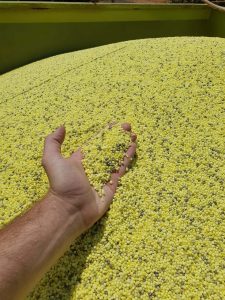 Fertilizantes de solo: uso melhora a produção e contribui com o meio ambiente
