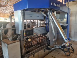 Ordenha robotizada é alternativa para melhorar produção