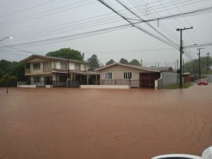 Chuva: prejuízos na agricultura são de mais de R$ 95 milhões em Palmas