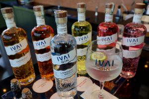 Gin, vinho e cerveja: bebidas do PR acumulam prêmios internacionais