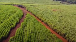 Programa coloca no mapa 35 mil propriedades que não possuíam CEP