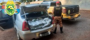 Carro carregado com agrotóxico ilegal é apreendido no Paraná