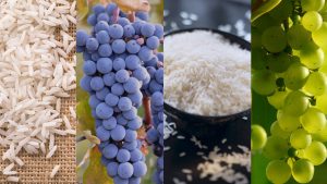 Atenção produtores de uva e arroz: preços mínimos são atualizados