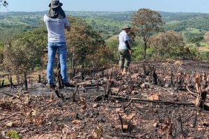 Goiás realiza 257 laudos de desmatamento em apenas cinco dias