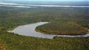 Floresta Amazônica pode aumentar mais de 15 mil hectares, até 2050