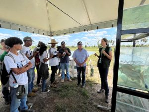 Municípios do Maranhão despontam como polos na piscicultura