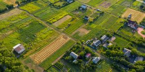 Mais de 1,7 mil propriedades rurais são regularizadas em 2023