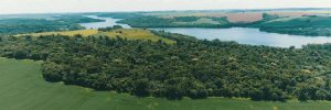 Inscrições no Cadastro Ambiental Rural vão até 31 de dezembro