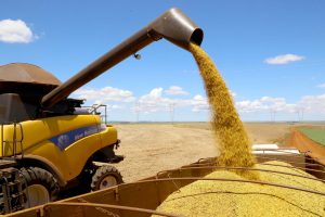 Puxado pelo Agro, PIB do Paraná cresce mais que o dobro da média nacional