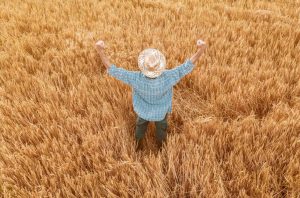 Número de pessoas trabalhando no agronegócio bate novo recorde