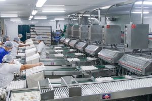 Tecnologia e responsabilidade ambiental aceleram produção na avicultura paranaense