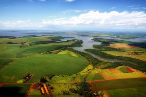 IDR-Paraná emite Nota Técnica sobre importância da conservação