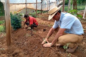 Trabalho de 700 extensionistas impulsiona pesquisa e produção agropecuária