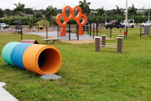 Toledo ganha primeiro parque para cães