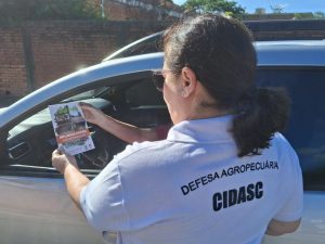 Turistas são alvos de operação para previnir a influenza aviária