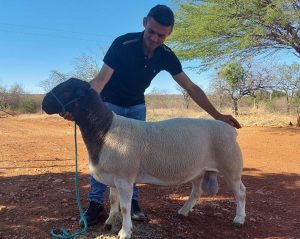 “Você só trabalha errado se quiser”, diz produtor que melhorou resultados com ajuda técnica do Senar