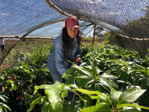 Produtores são selecionados para programa de fruticultura irrigada