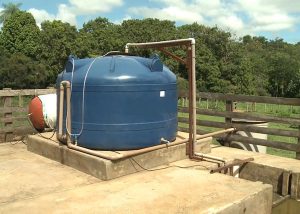 Uso de biodigestores pode gerar economia bilionária a pecuaristas