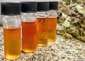 Óleo de alecrim-do-mato pode controlar fungos em culturas agrícolas