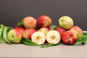 Edital oferece mudas de variedades de nectarinas para produtores