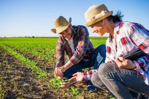 Plano de políticas públicas para a agricultura familiar é apresentado