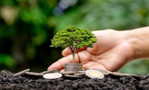 Cédula de Produto Rural: valores estão próximos de atingir R$ 300 bilhões