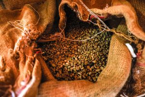 Com clima favorável, produção de café é estimada em 58,08 milhões de sacas