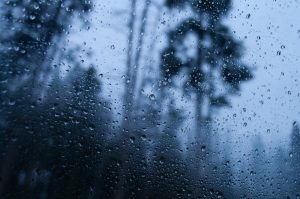Primeiro trimestre de 2024 pode ter calor e chuva acima da média