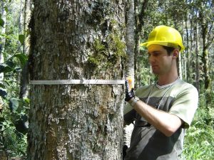 Projetos de pesquisa ambiental receberão R$ 3 milhões