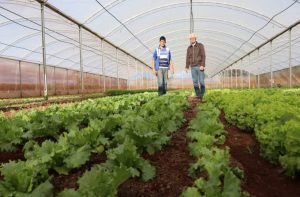 Edital oferece R$ 3 mi para projetos que atendam agricultores familiares